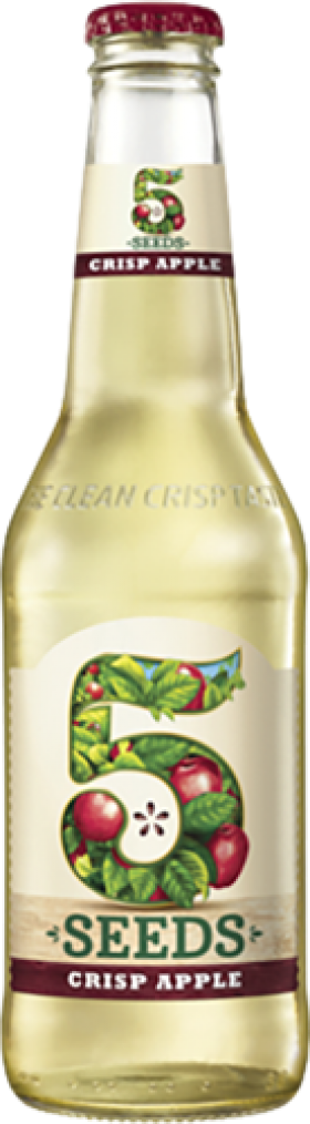 Ted 5 Seeds Cider Stb 345ml